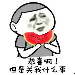 娱乐八卦吃瓜群众1v5,吃瓜群众1v5，揭秘娱乐圈幕后真相  第2张